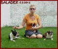 /album/fotogalerie/ja-a-psi-jpg/